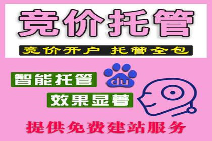 案例解析：SEM推广托管助力企业品牌建设